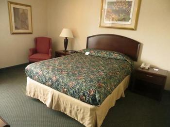 Conference Center And 3*